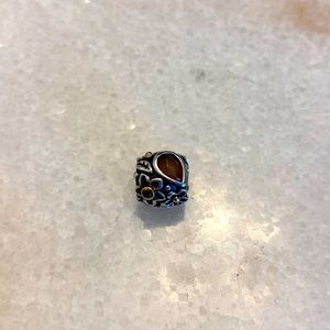 Retired Authentic Pandora Charm